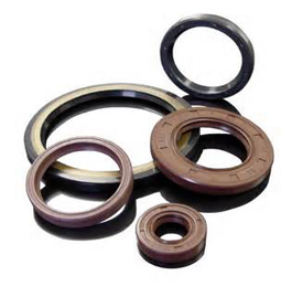 Shaft Seals